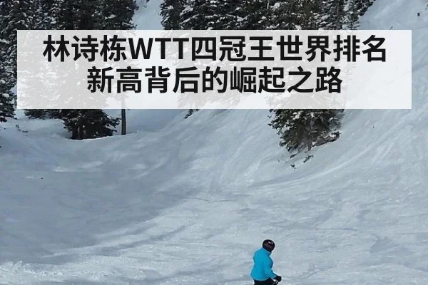 林诗栋WTT四冠王世界排名新高背后的崛起之路