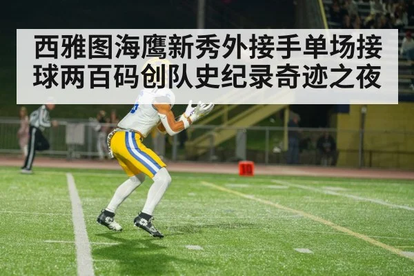 西雅图海鹰新秀外接手单场接球两百码创队史纪录奇迹之夜